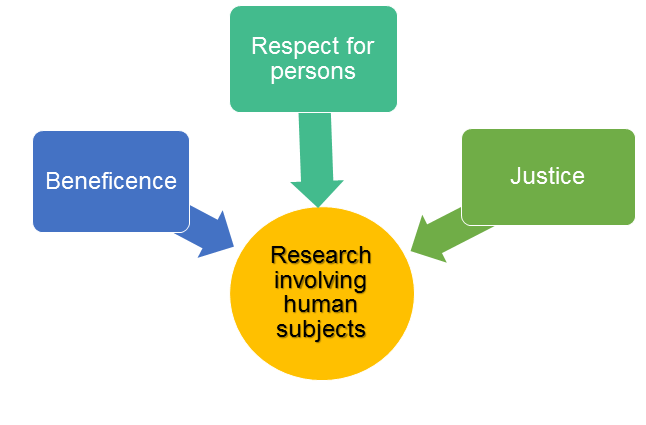 Figure 5 The three basic principles of research ethics: Beneficence, Respect for persons, Justice