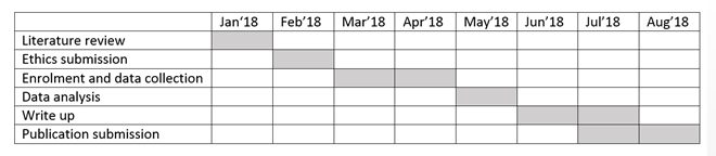 Figure 2 Example of a Gantt chart